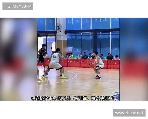 抢篮板犯规如何判定？详细解析篮球规则与标准